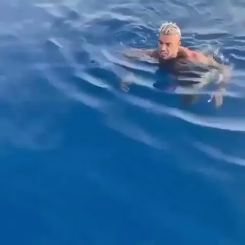 Swimmer encounters a real shark
