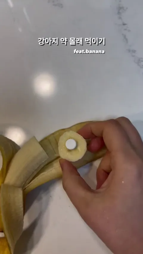 Tricking the dog to take medicine be like...