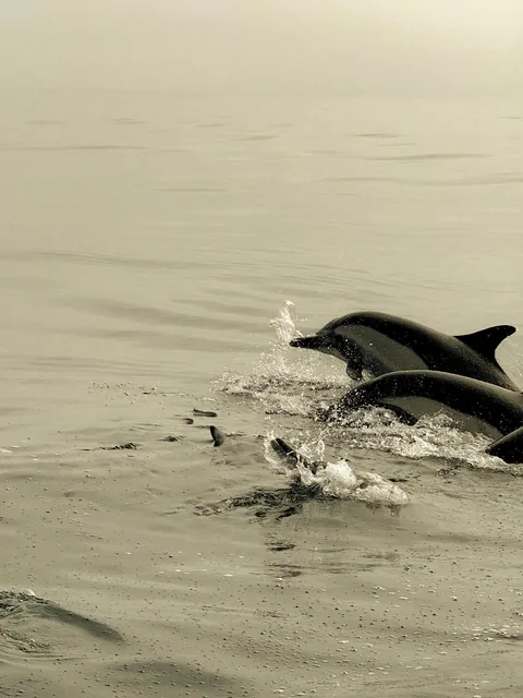 First time on the West Coast: 3 days in LA and I actually loved it