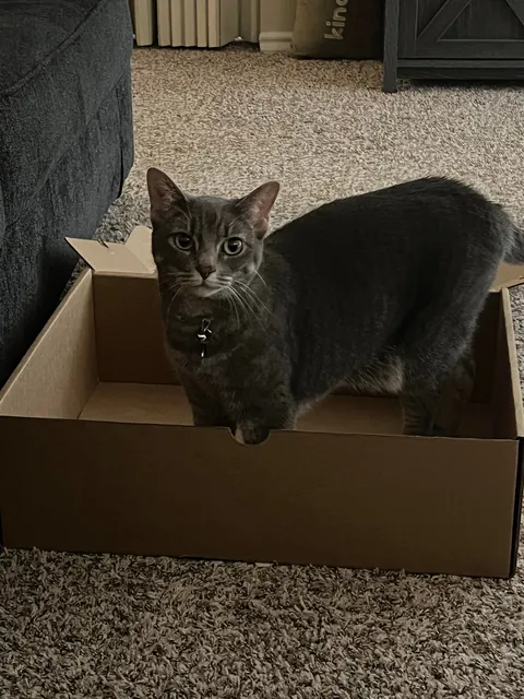 Everyday I wonder how I’m her 5th owner