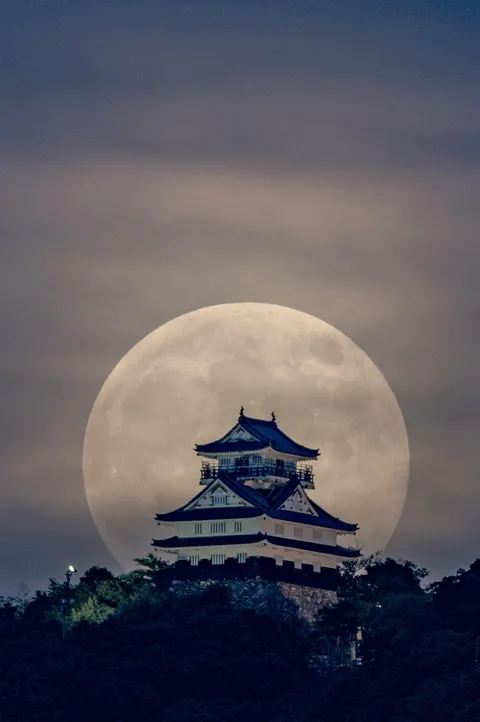 🌙 Moon rose over Gifu castle (Credit: 有栖 みぅ)
