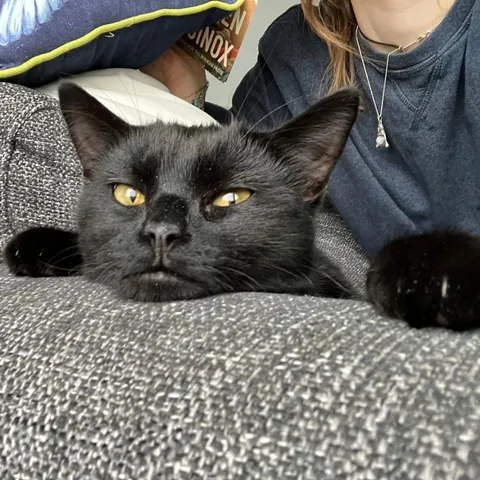 What's he contemplating?? Wrong answers only.