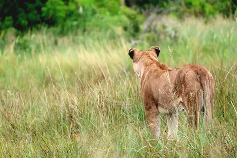 December in Botswana