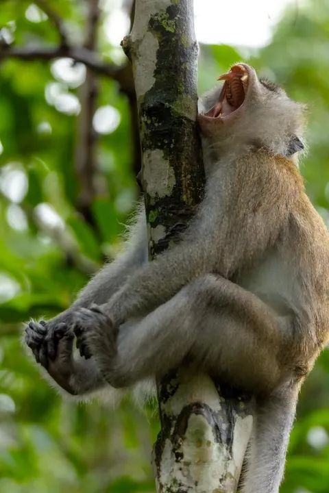 🔥🔥the Best funny nature pics