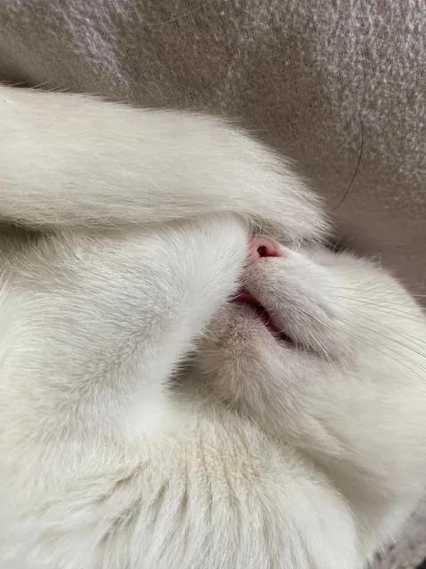 I hope my girl can brighten up someone’s day 🌞