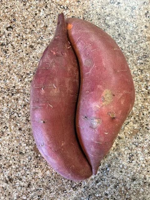These two seemingly random sweet potatoes fitting perfectly together