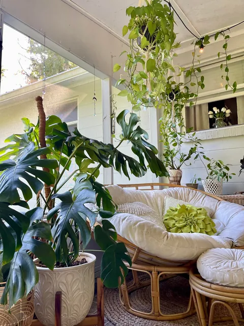 favorite lil spots 🪴✨