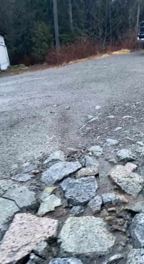 This Man's Encounter With A Bald Eagle