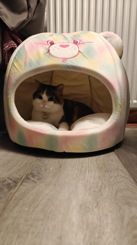 After 2 months of ignoring she has decided to bless me by using it