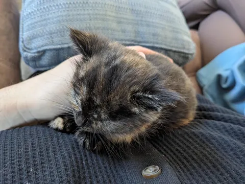 Updates on the sweet ice princess, Elsa!