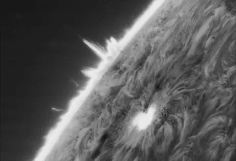 Sun - sunspots