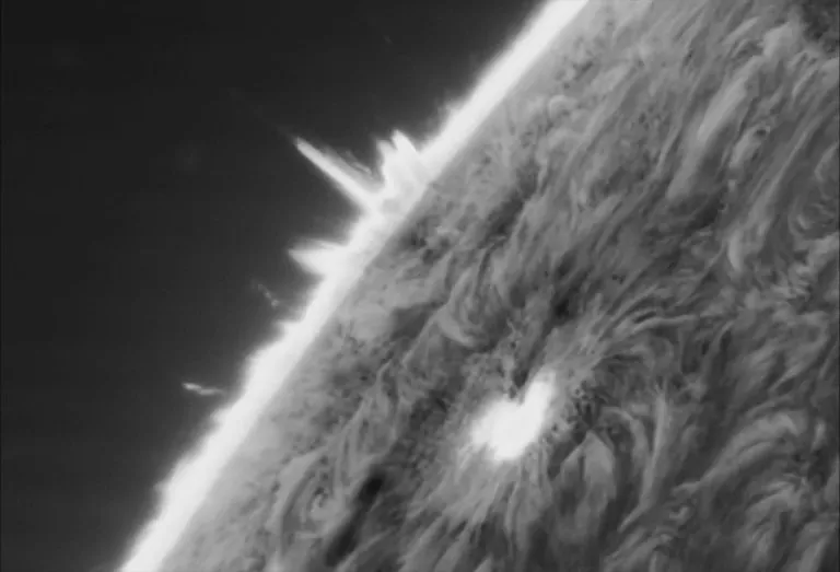 Sun - sunspots