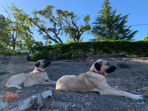 My photogenic duo