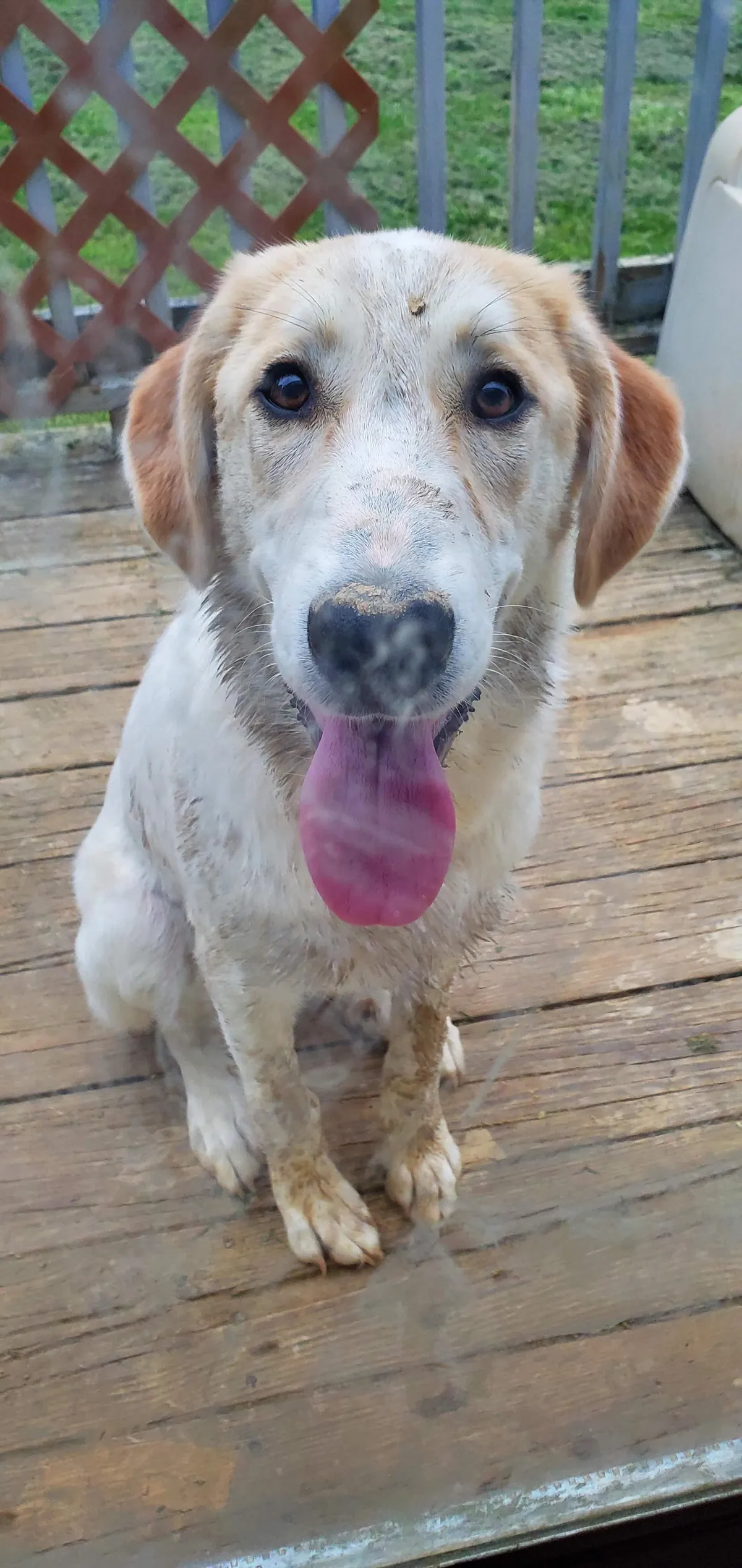 The best thing to ever happen to me