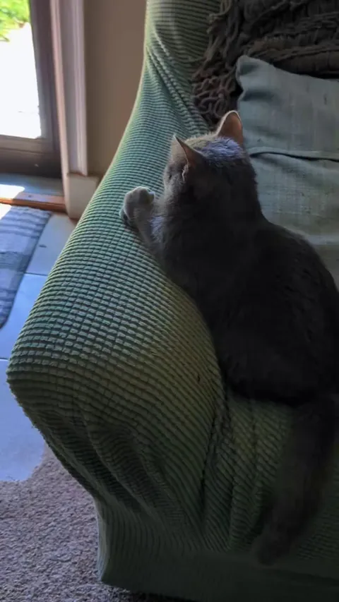 What his brain is processing?