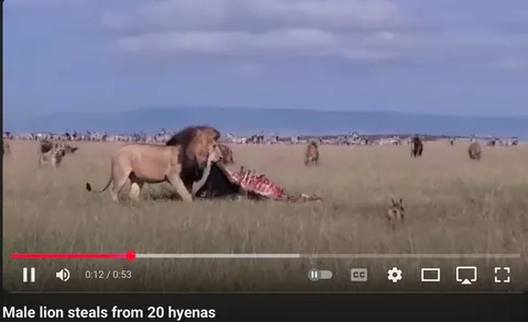 When you don’t know what words mean