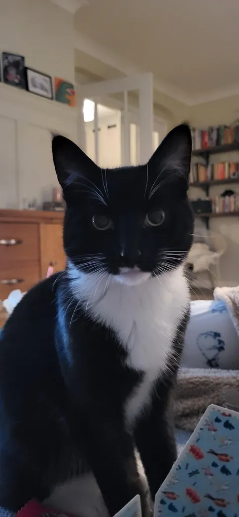 My beautiful boy died today