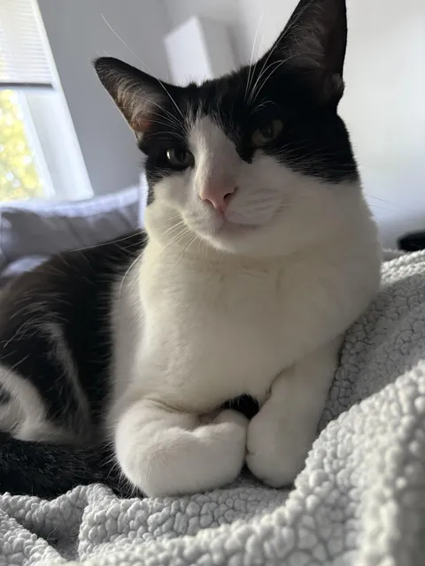 We had to leave the vet today because she freaked out so much 🙃