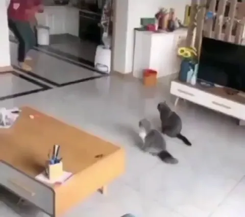 They understood the assignment