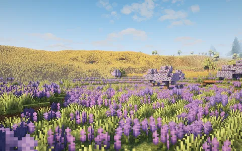 What biomes should be added next to the Overworld?