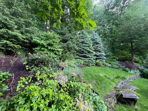 Photos of the backyard section of my mom's garden post-rain!