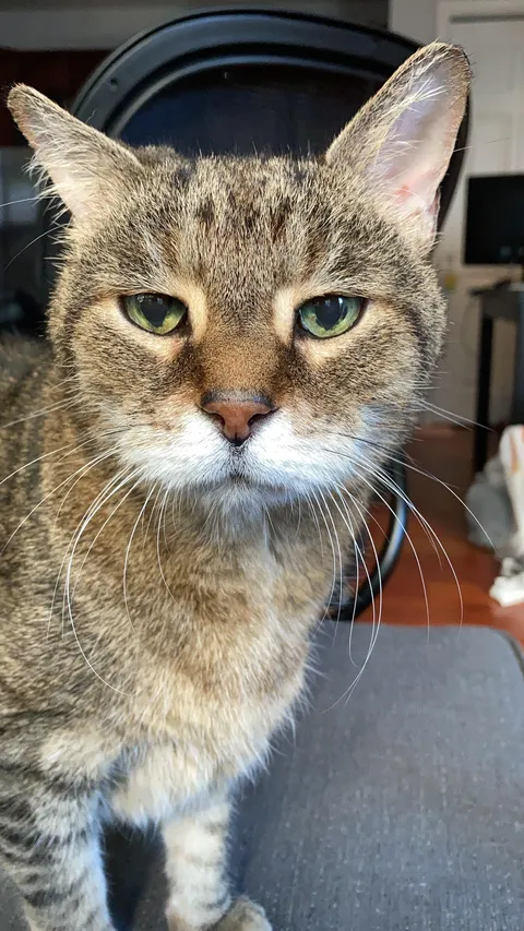 Our Boi G turned 21! So lucky to have him in our lives!