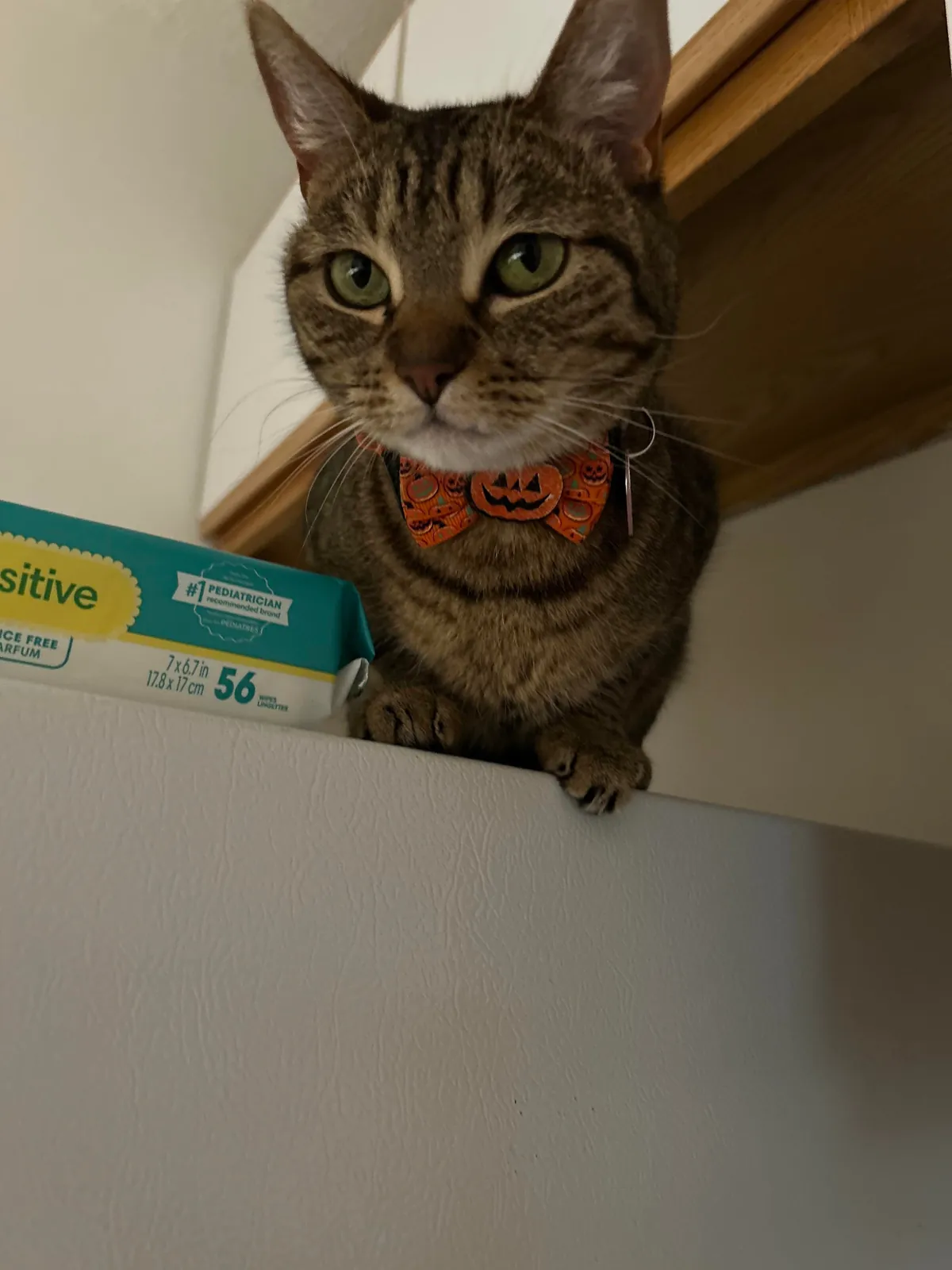 Way too smart I’m scared