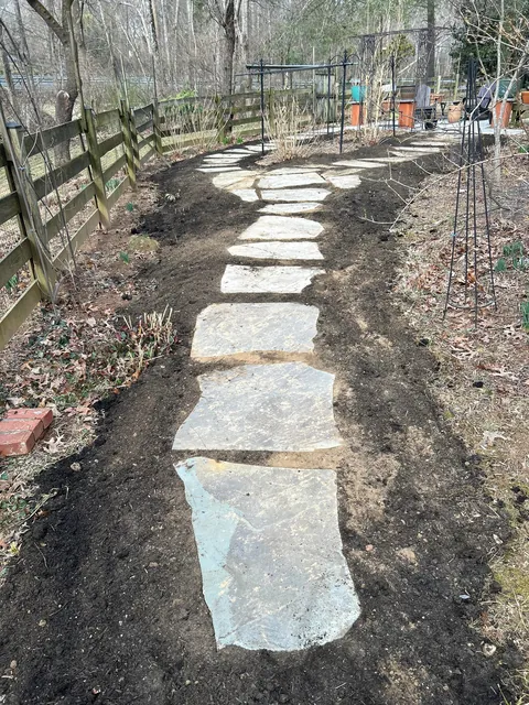 Progress March 3 to May 10