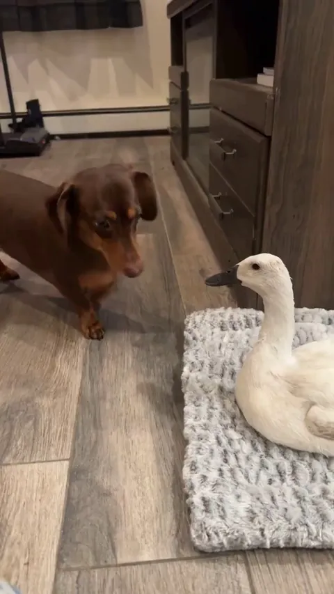 don't get me started Milo