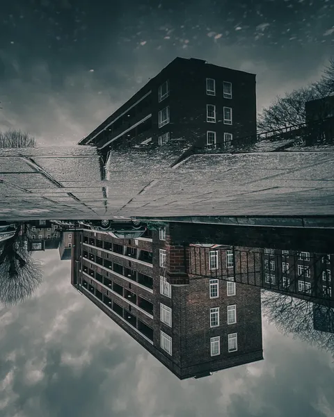 A glimpse into the Upside Down.