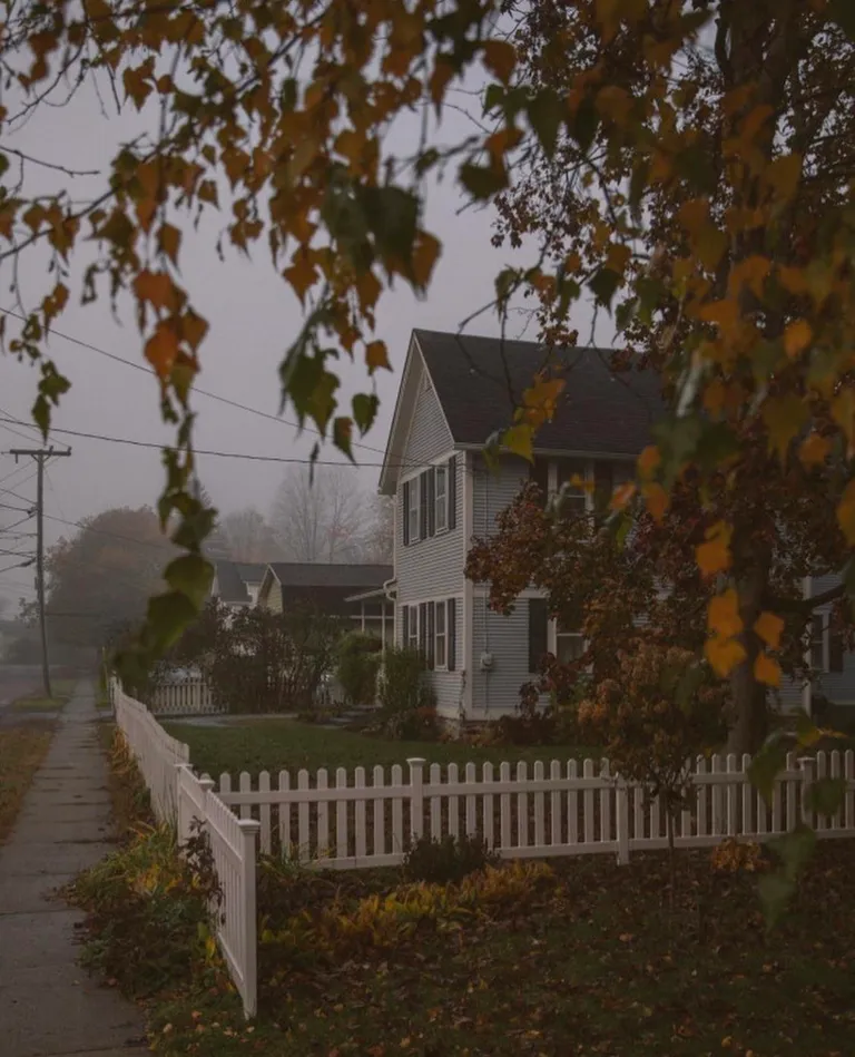 Can a Foggy Morning Walk Feel Cozy? [ext]