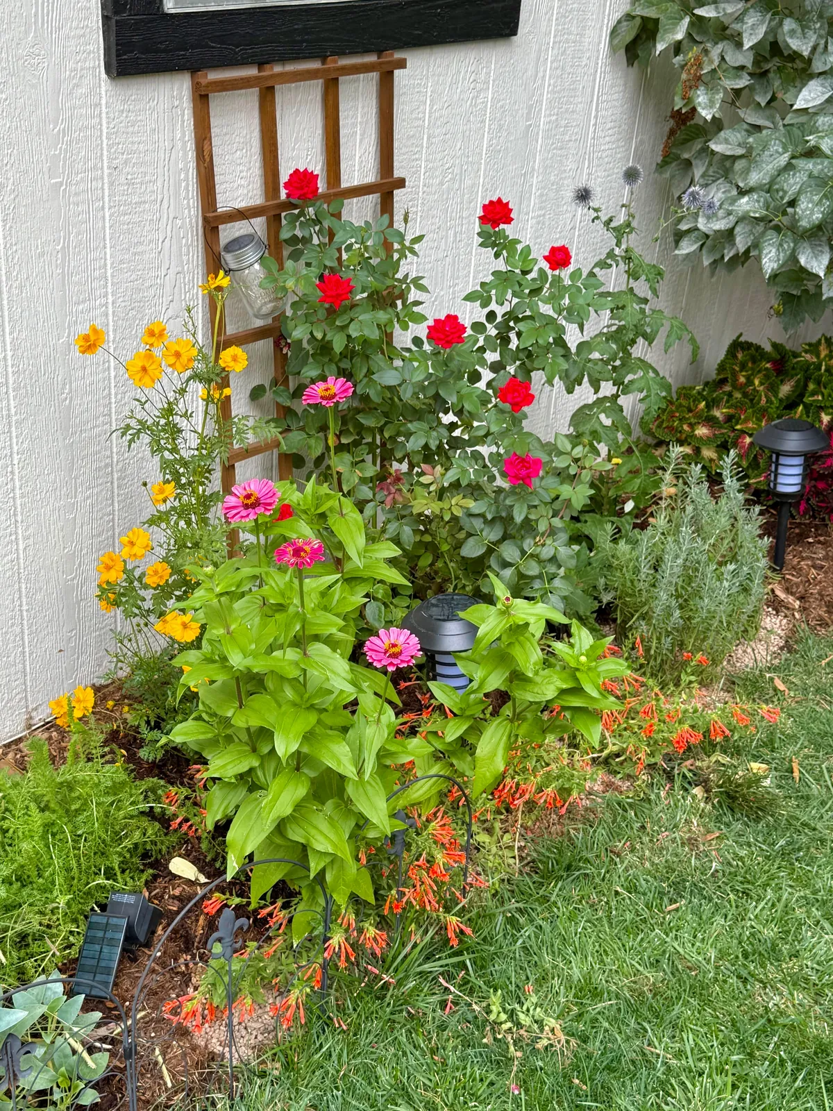 My 2nd year gardening, and I’m proud to share ‘em!