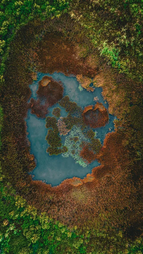 🔥 Marsh Pool Morning