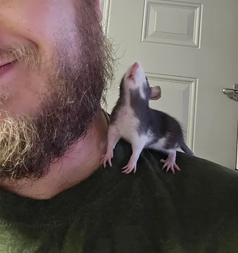 One of the newest members of the mischief and already brave