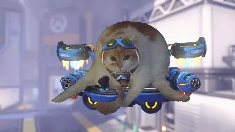 Edited my cat too in her attack drone pose