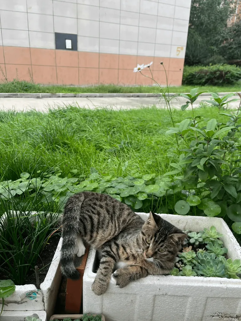 You’re just too cute to move... I’ll let you nap there for a while. 😂