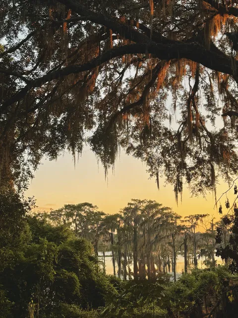 Golden hour in Florida