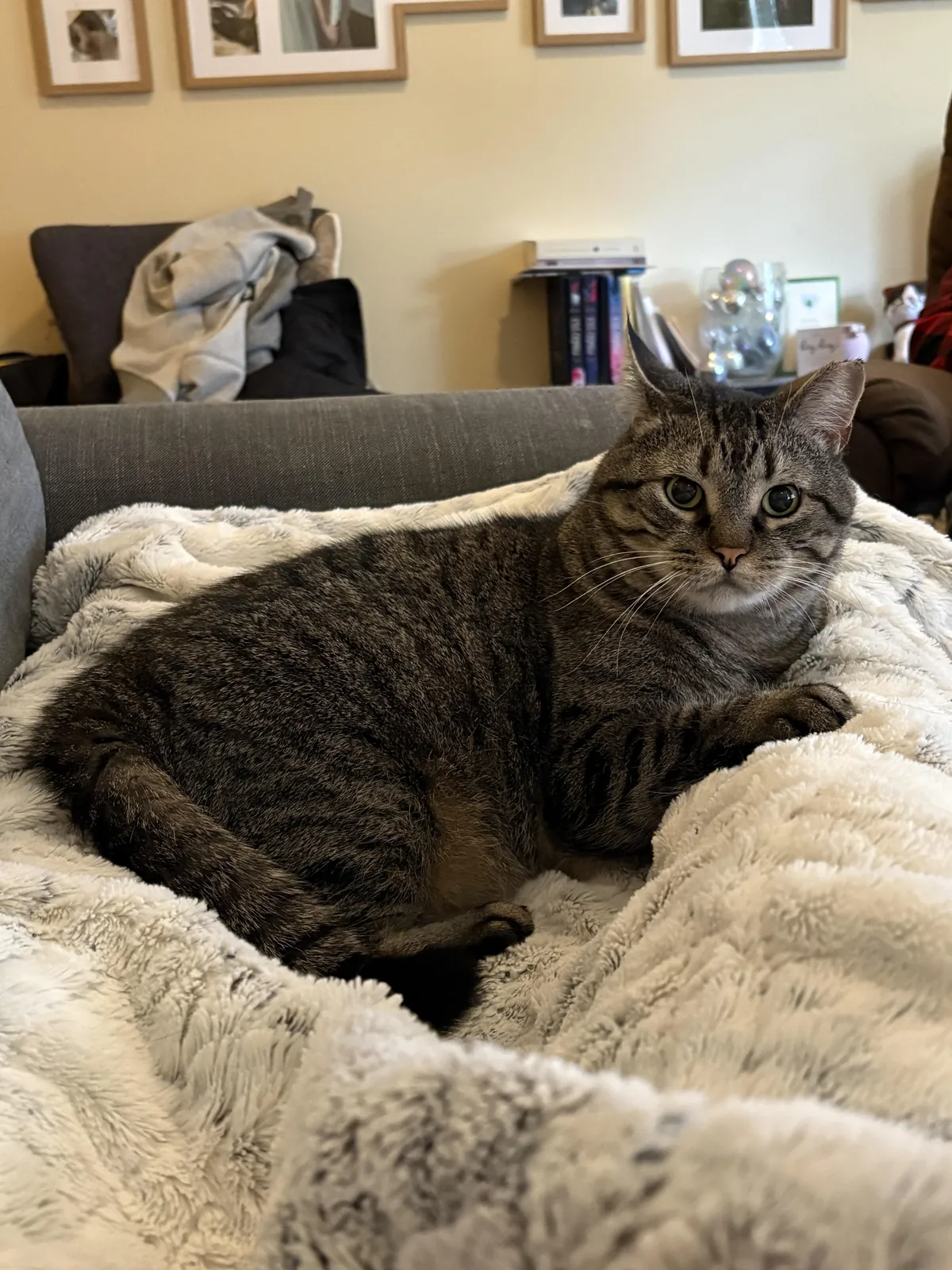 Most recent picture of your cutie! No cheating 🥰