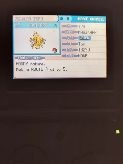 This ASSHOLE sold me this useless yellow fish. Might have to eat it