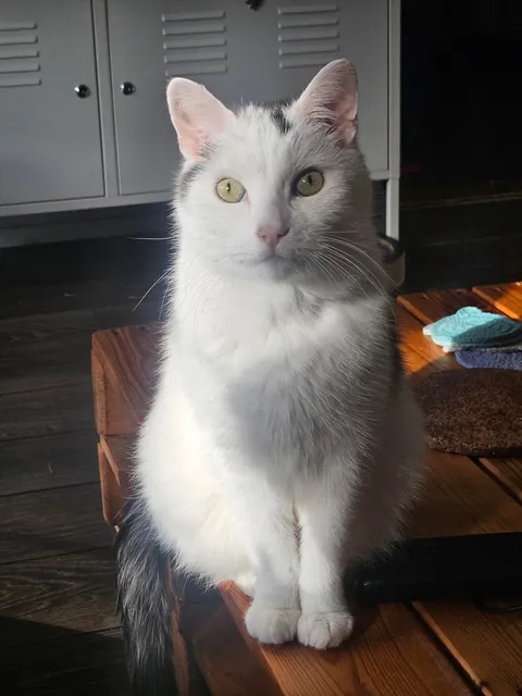 Please look at my little angel (alive)