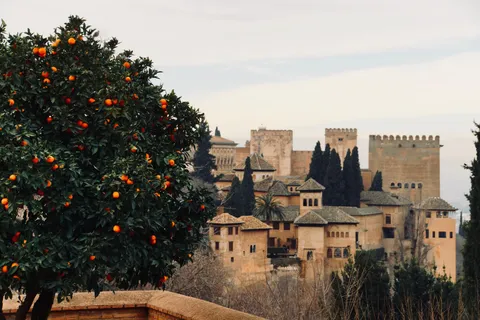 From a recent trip to Granada, Spain and the Alhambra. I was surprised by how many oranges were on the trees in January!