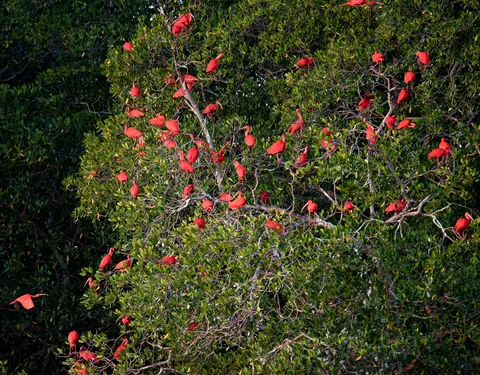 North Brazil : Lençóis Maranhenses and Route of Emotions: never seen anything like that.