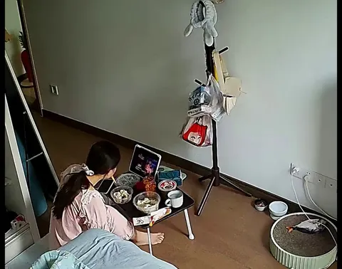 Cat checks the stability of a table