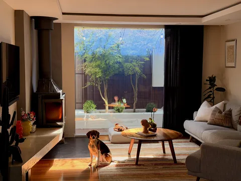 Easter morning in my living room. Melbourne, Australia