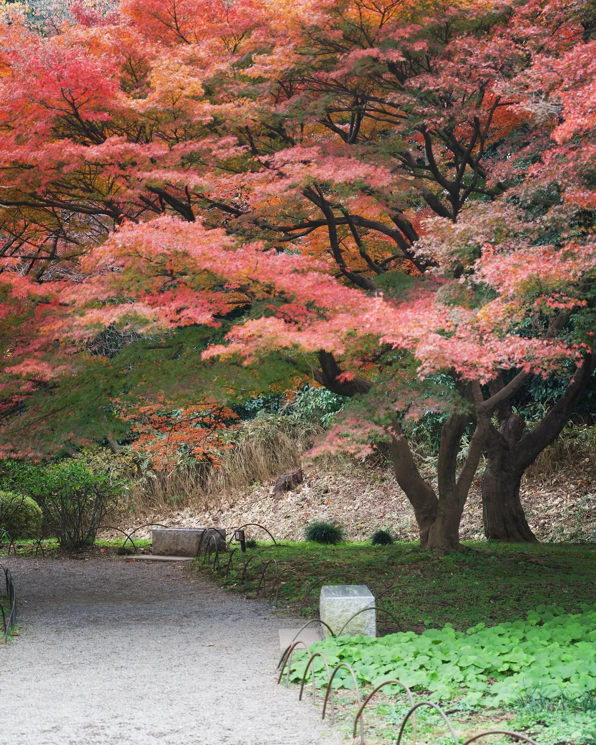 Take a seat in Tokyo