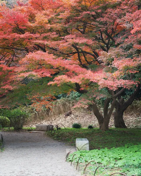 Take a seat in Tokyo
