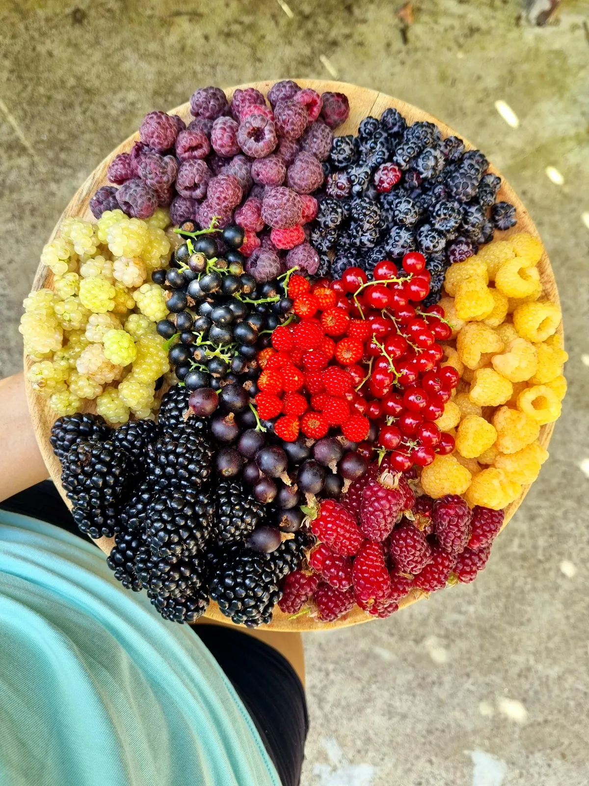 Little snack tray from my berry garden