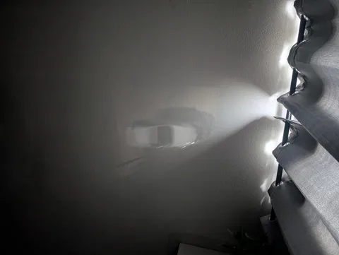 The light coming through my window this morning was acting as a projector for the driveway.