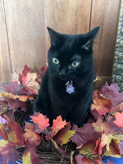 It’s always Halloween as long as you’ve got a void!