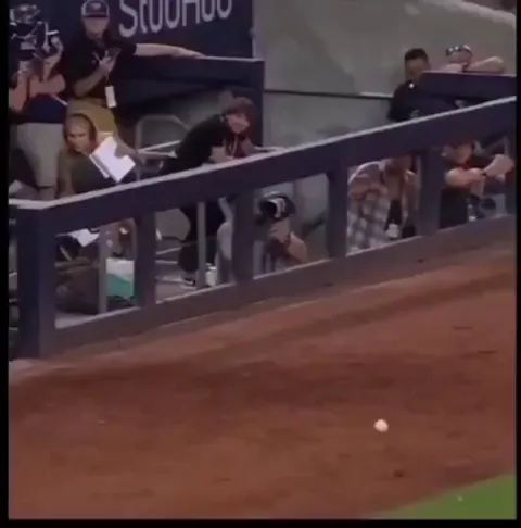During a baseball game, a ball flew straight at a reporter, but the cameraman caught it just in time